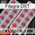 Filagra DXT 19